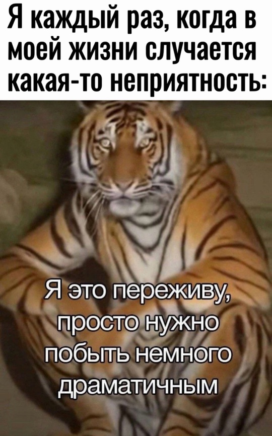 Смешная картинка 1726921419