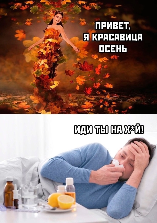 Смешная картинка 1726968960