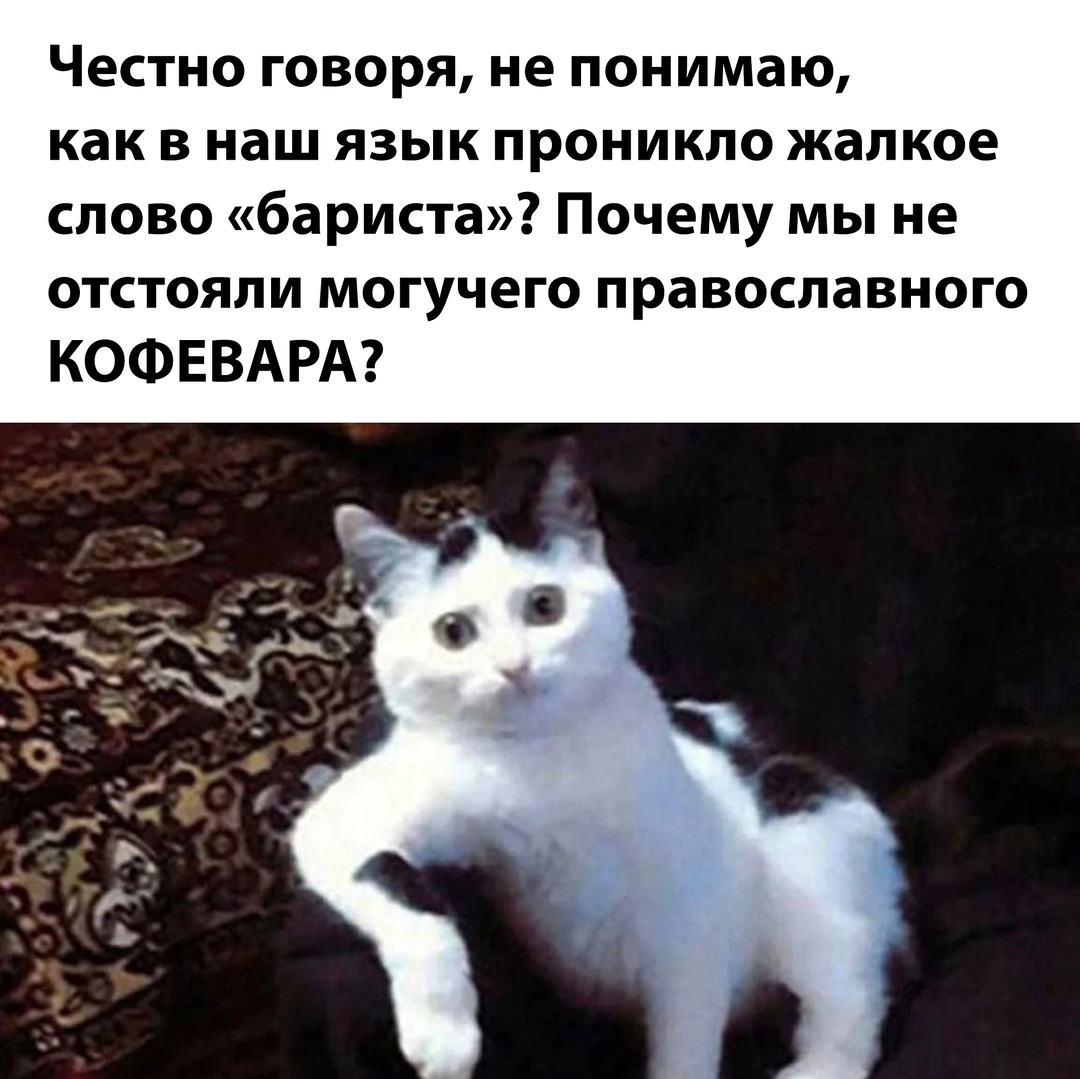 Смешная картинка с текстом