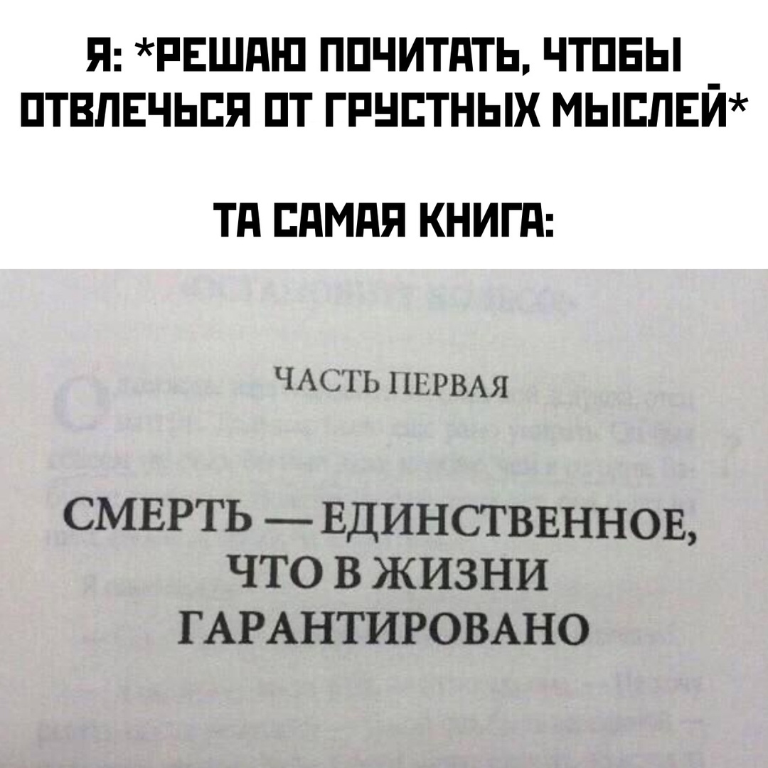 Смешная картинка 1732403580