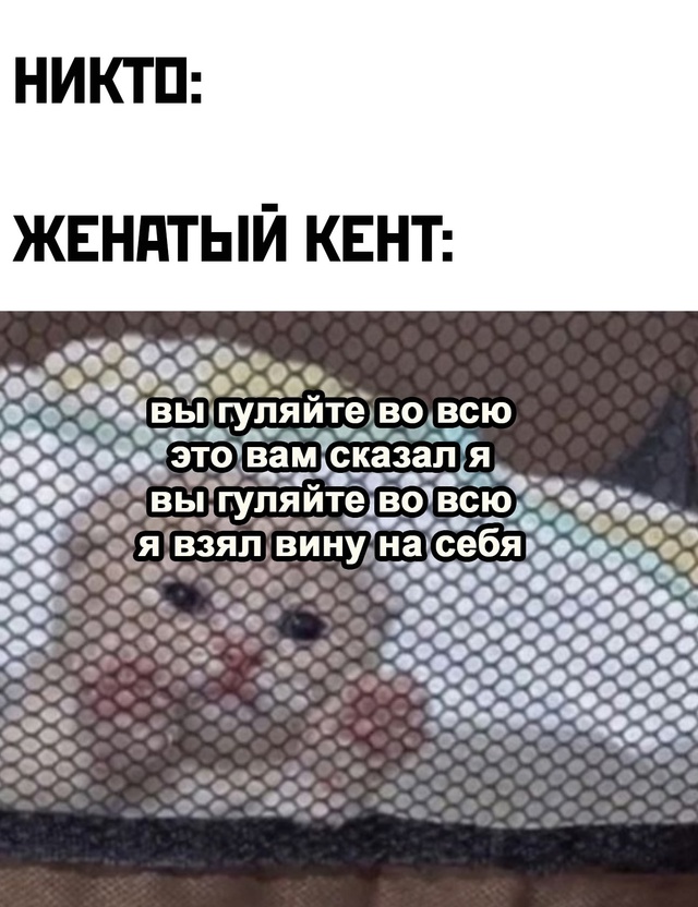 Смешная картинка 1732821360