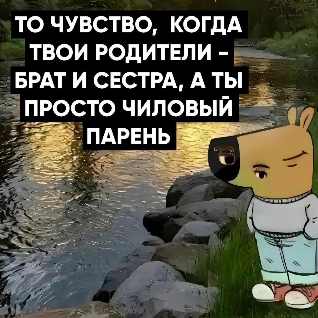 Смешная картинка 1732864614