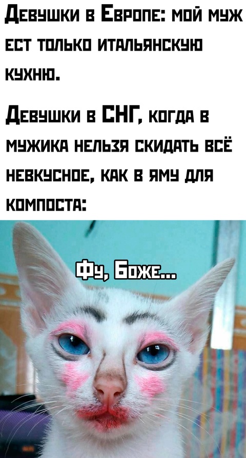 Смешная картинка 1735979880