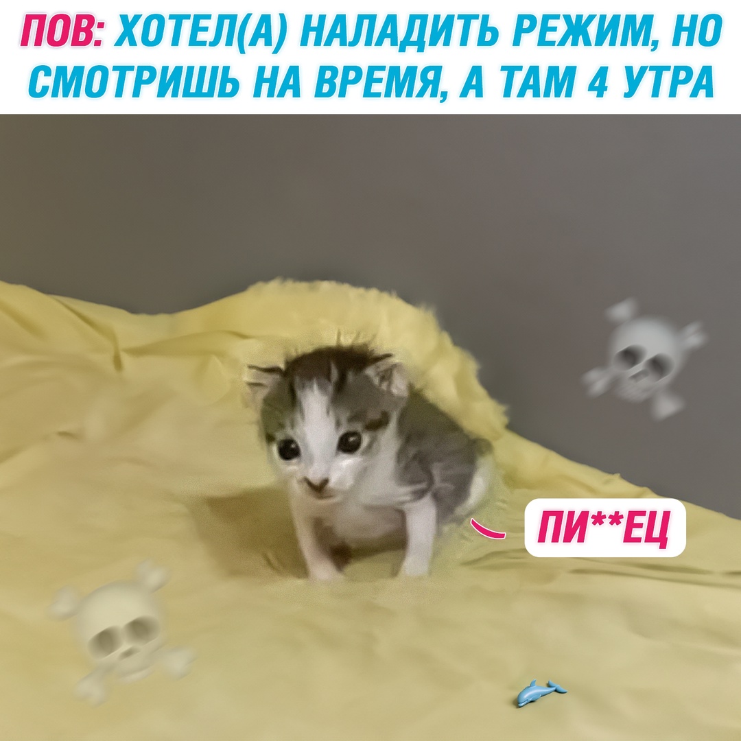 Смешная картинка 1736021500