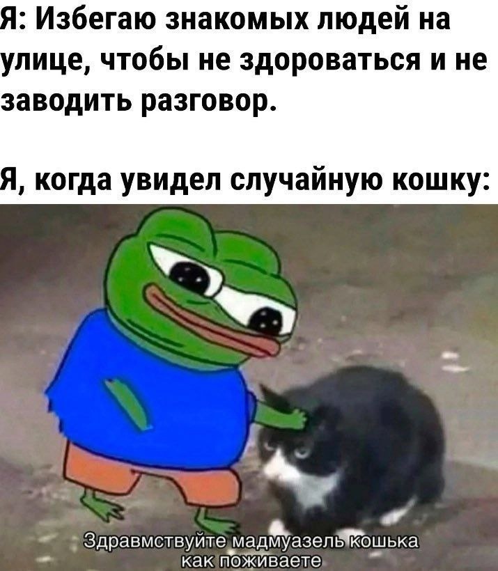 Картинки С Именем Даша Смешные