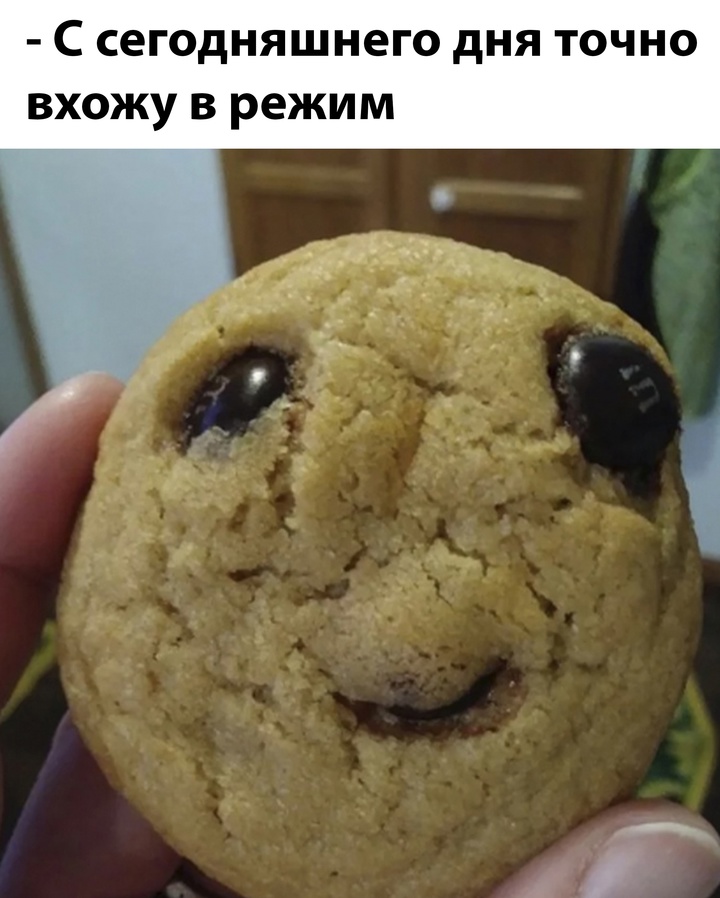 Смешная картинка 1736532113