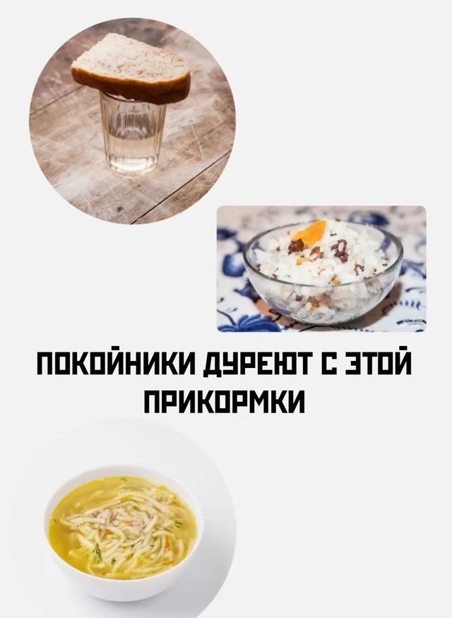 Смешная картинка 1736626380