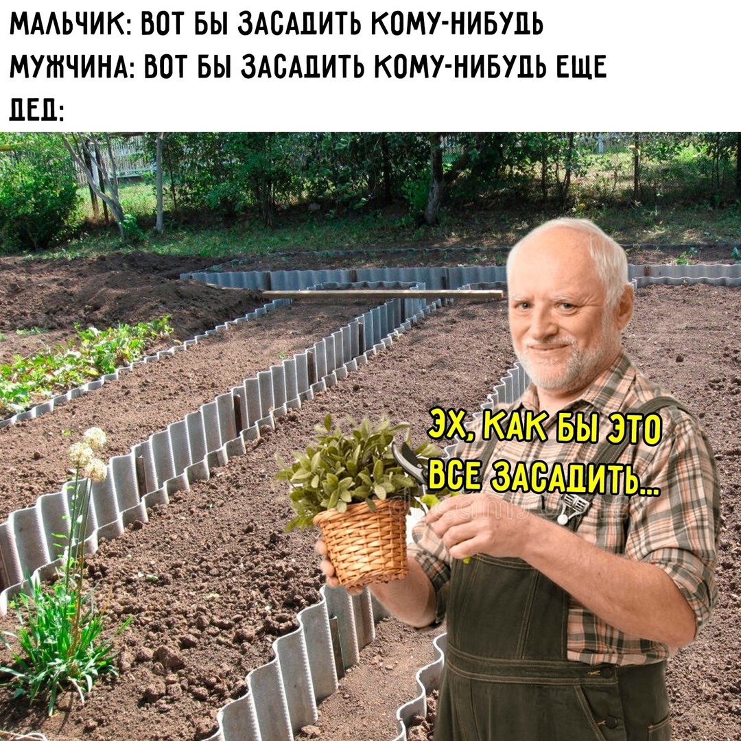 Смешная картинка 1737533460