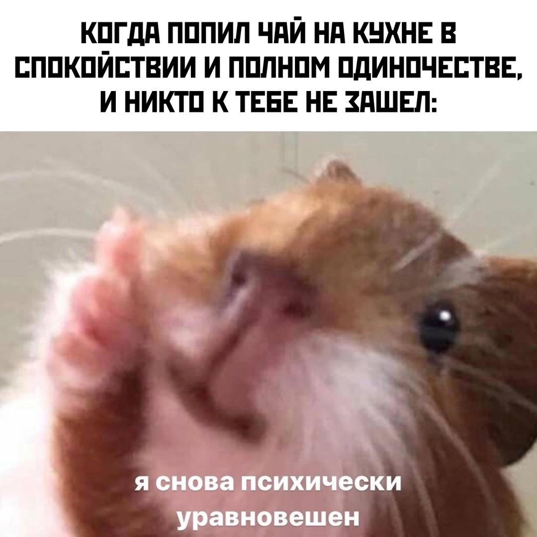 ТОП МЕМЫ