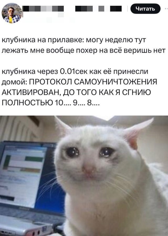 Смешная картинка 1746727683