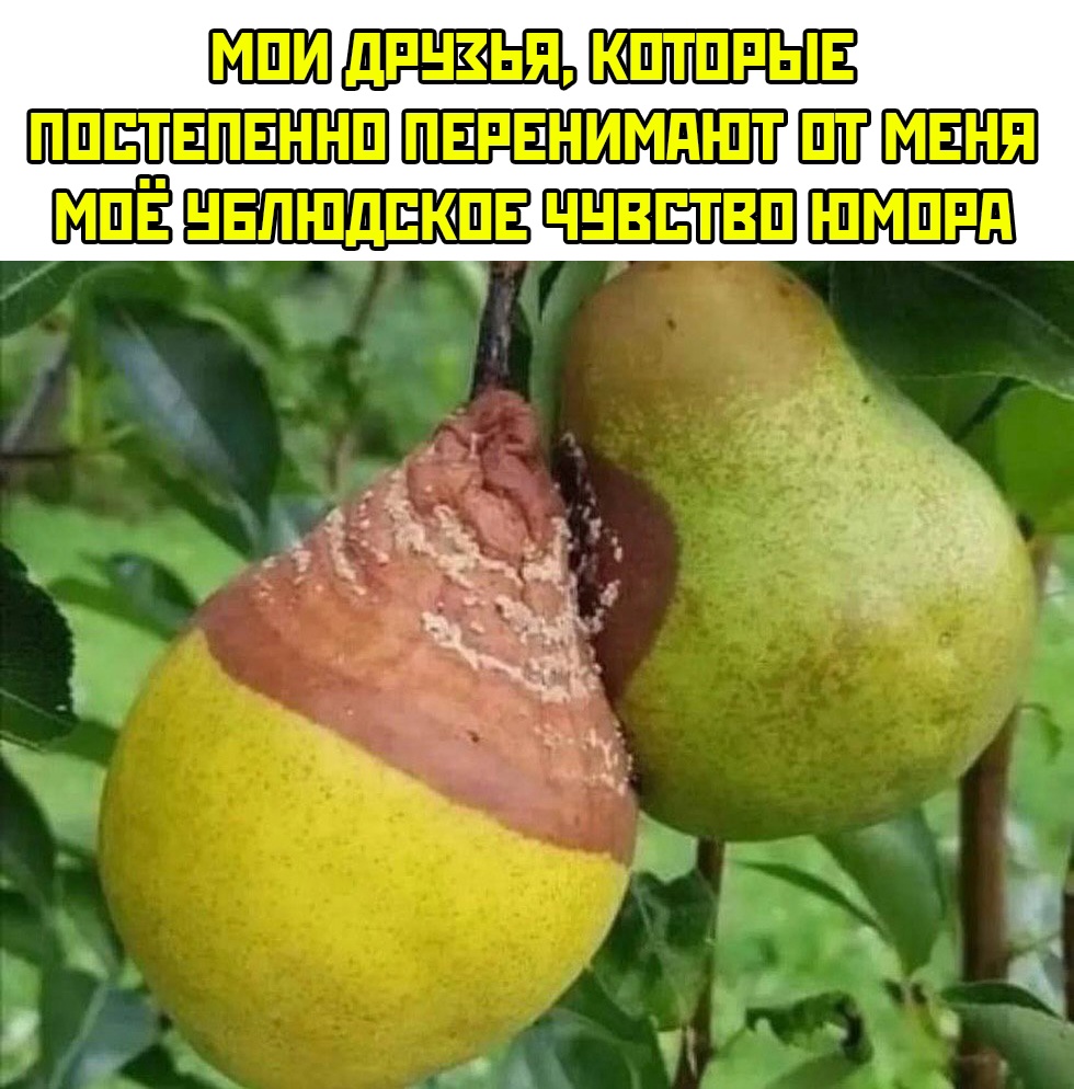 Смешная картинка 1746735213
