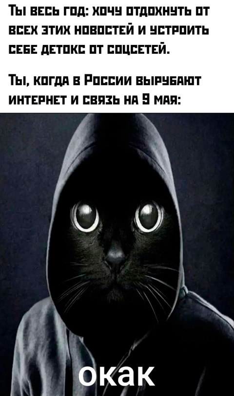 Смешная картинка 1746777071