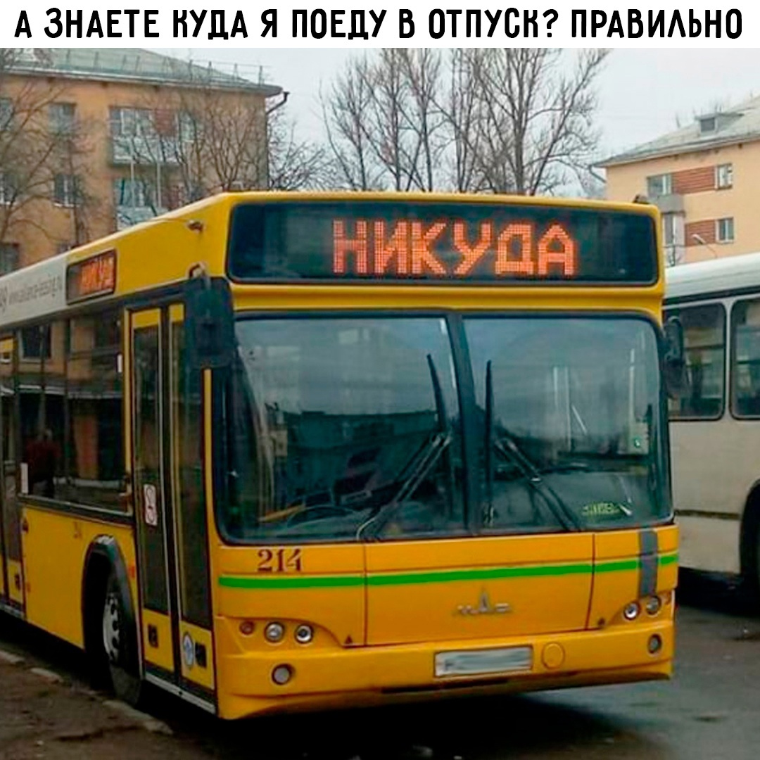Смешная картинка 1746781380