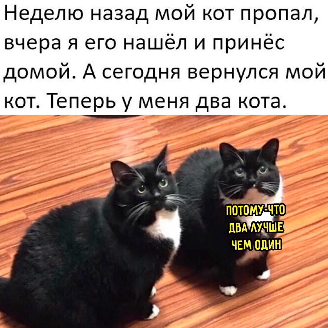 Смешная картинка 1746806580