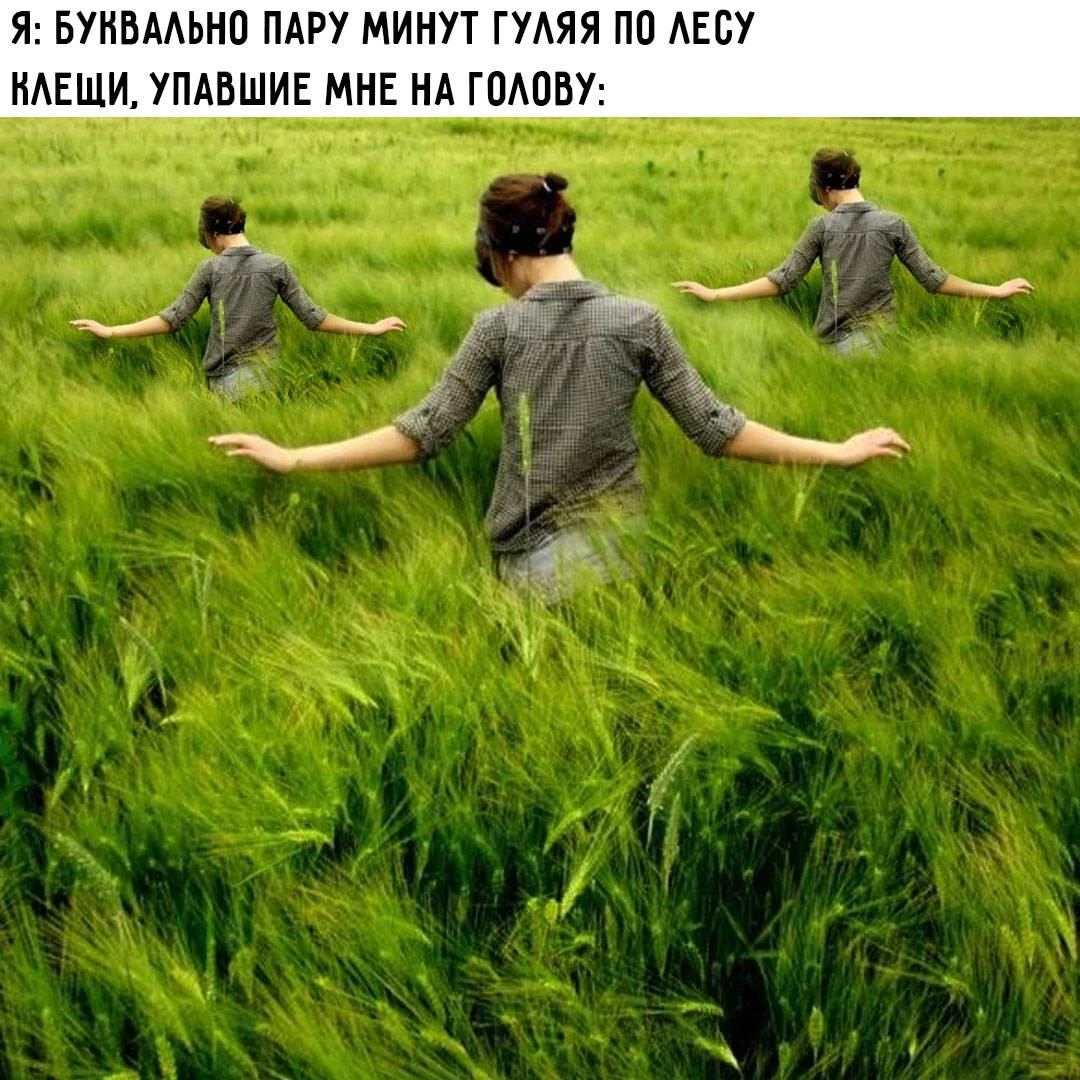 Смешная картинка 1746817380