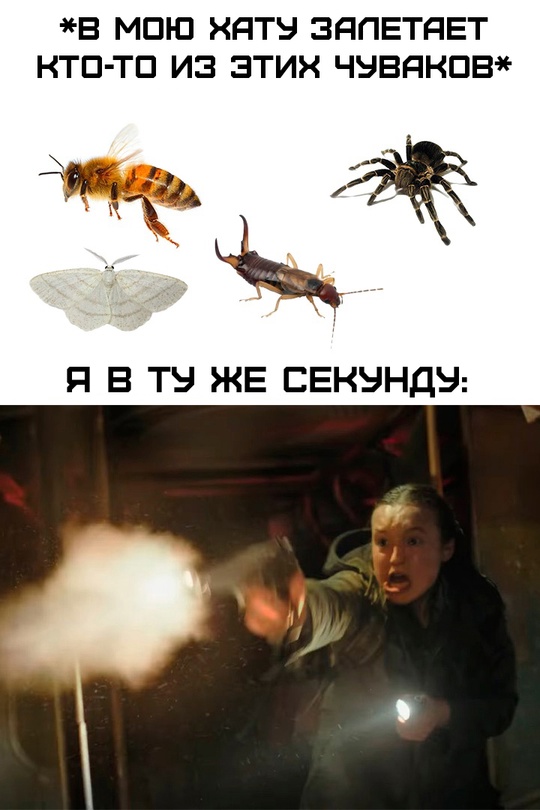 Я: в этой жизни меня сложно напугать, я многое повидал и уже ничему не удивляюсь!
Тоже я: Смешная картинка 1746817980