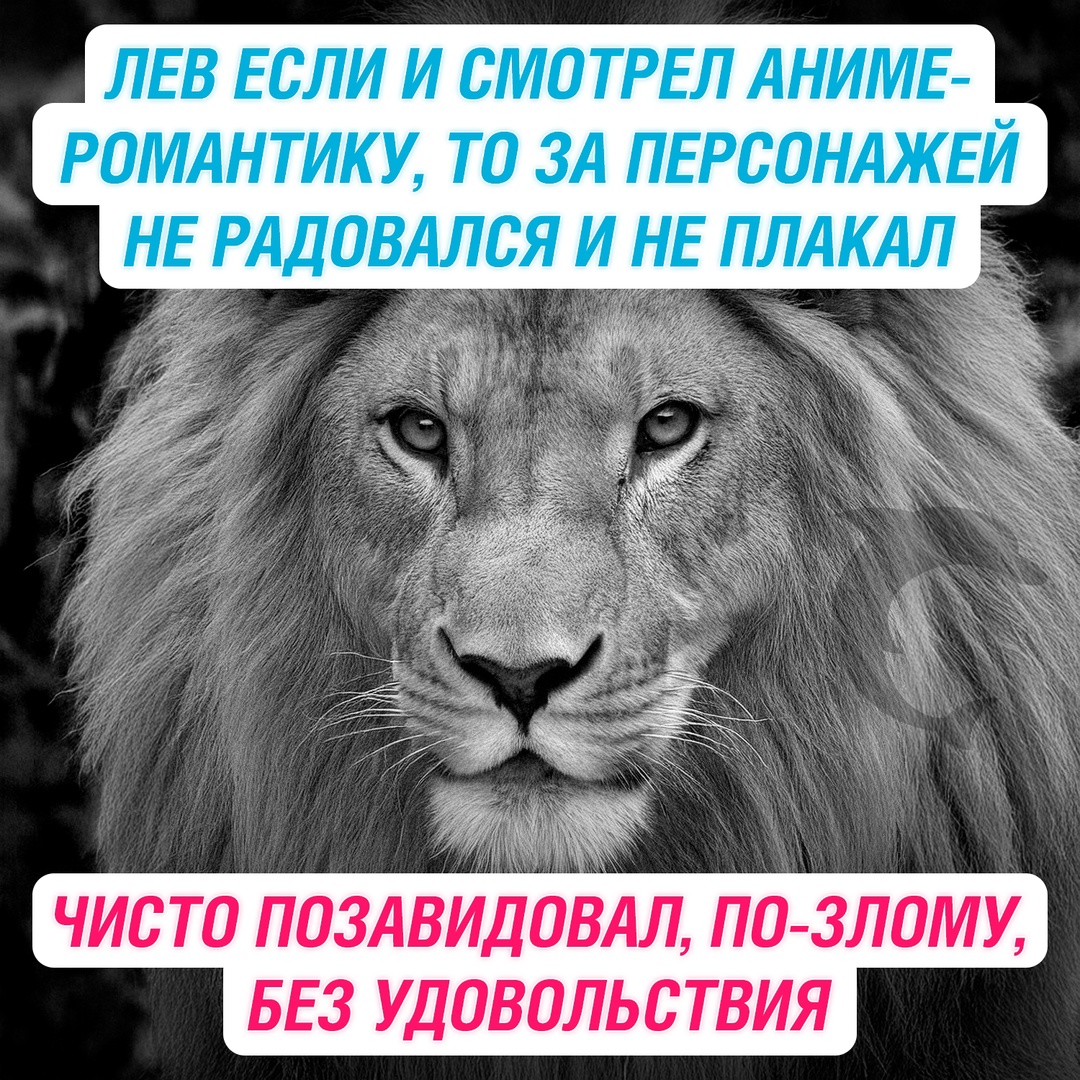Смешная картинка 1746850310