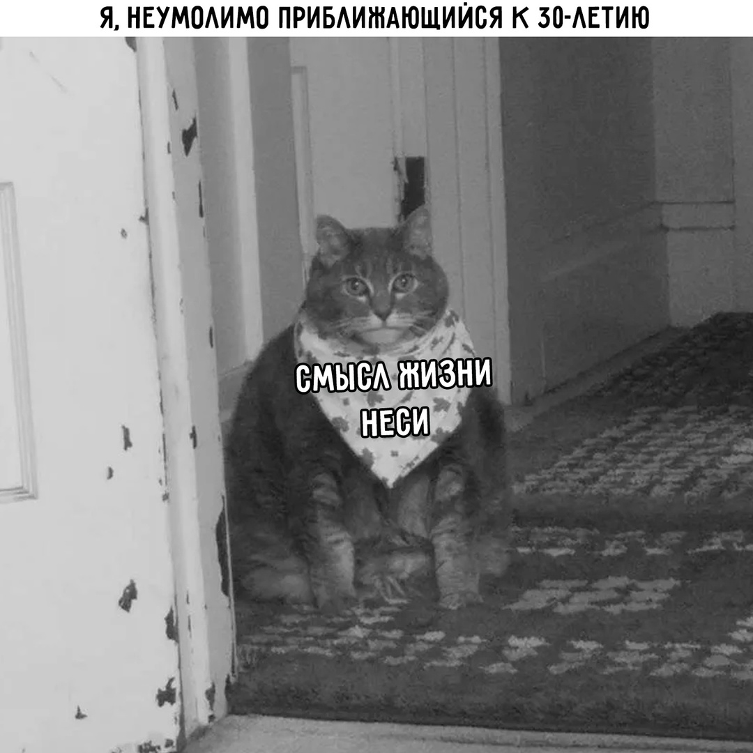 Смешная картинка 1746860580