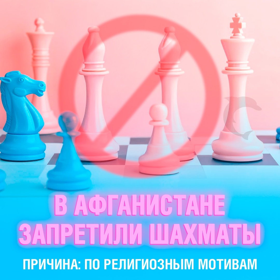 В Афганистане запретили шахматы♟
Сначала ”Талибан” объявил шахматы недопустимыми, а затем распустил национальную федерацию и ввёл полный запрет на игру по религиозным причинам
Шахматисты пытались оспорить решение через Департамент спорта, но безуспешно Смешная картинка 1746879643