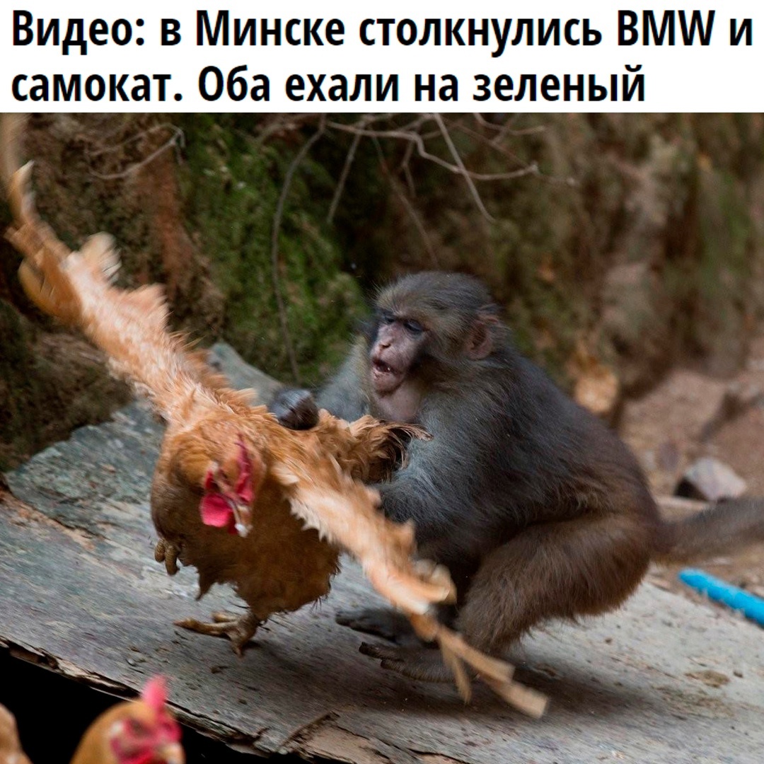 Смешная картинка 1746885780