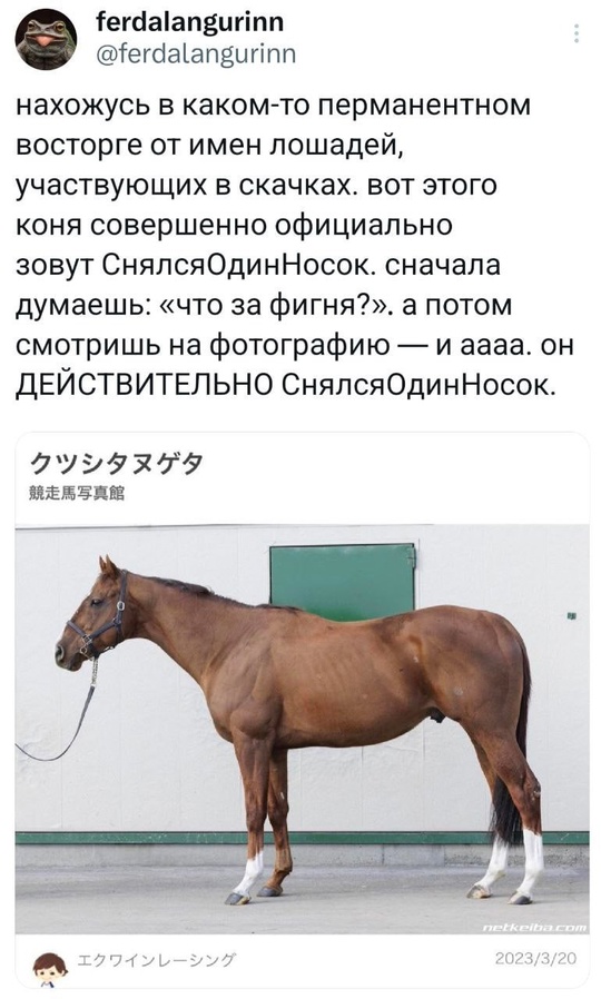 Смешная картинка 1746886487