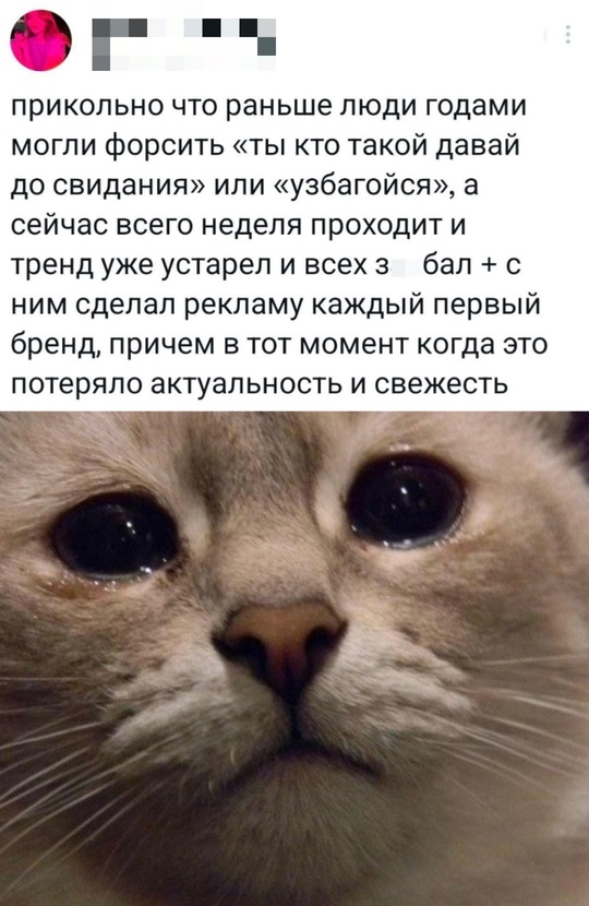Смешная картинка 1746951553