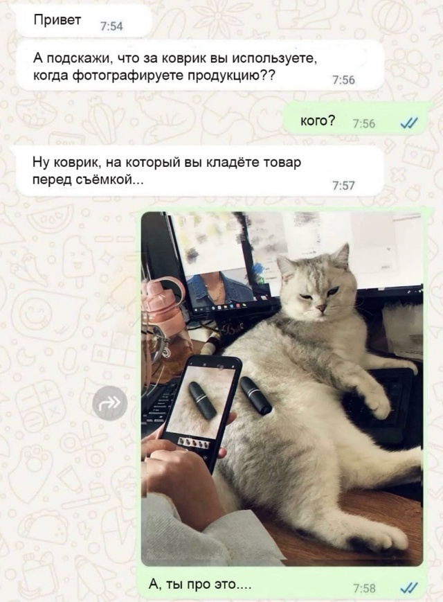 Смешная картинка 1747076128