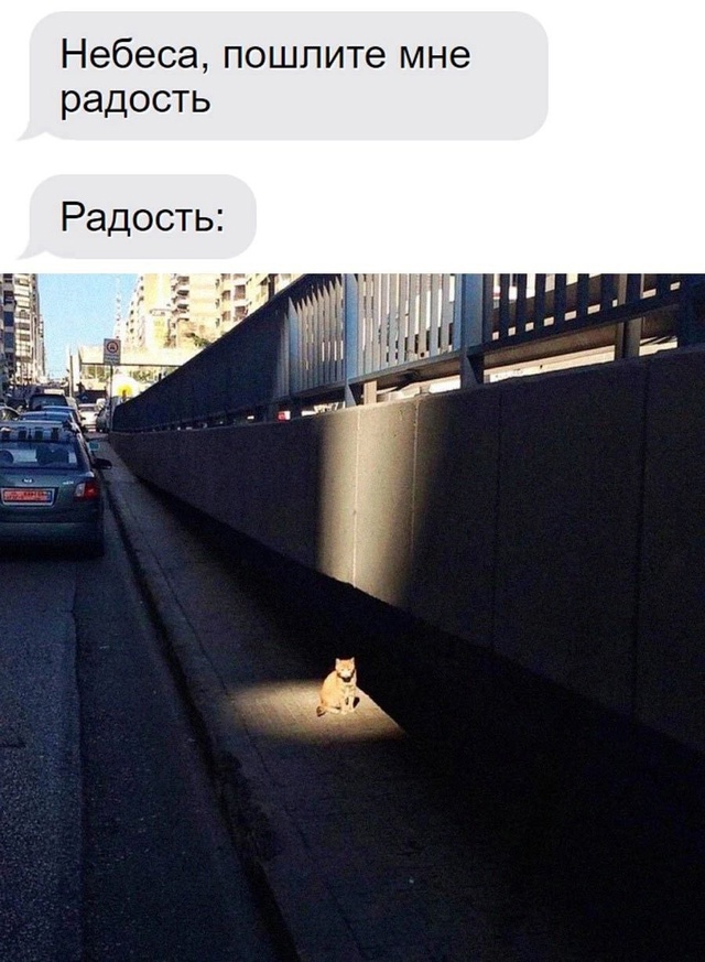 Смешная картинка 1747123201