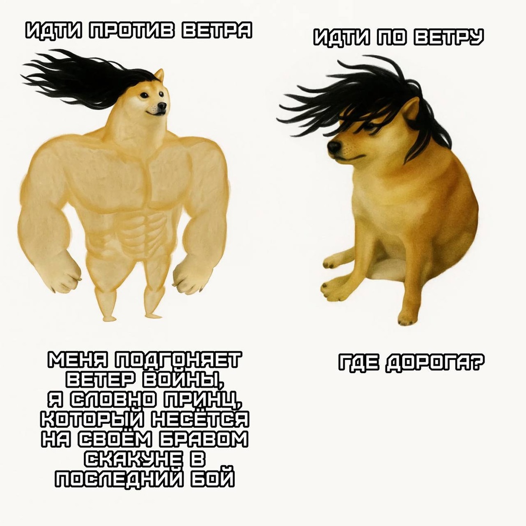 Смешная картинка 1747152780