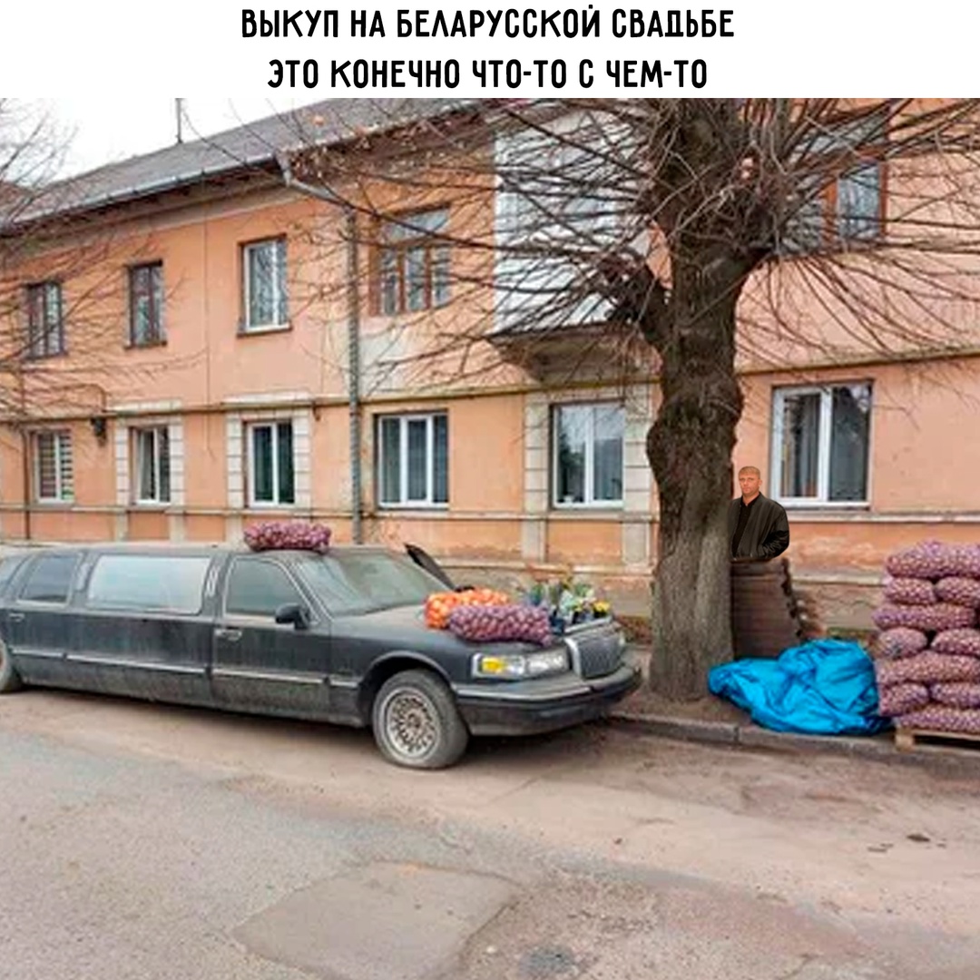Смешная картинка 1747209780