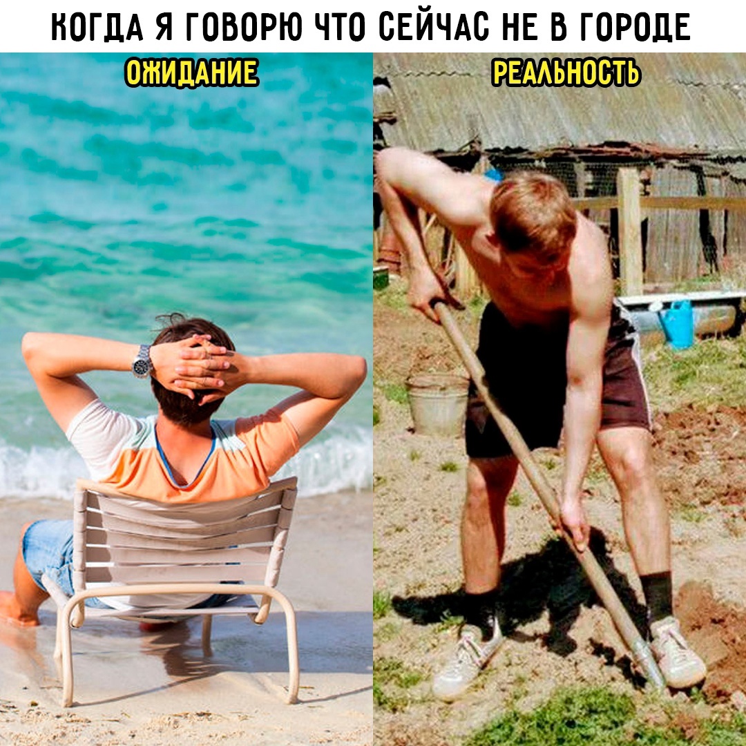 Смешная картинка 1747213380