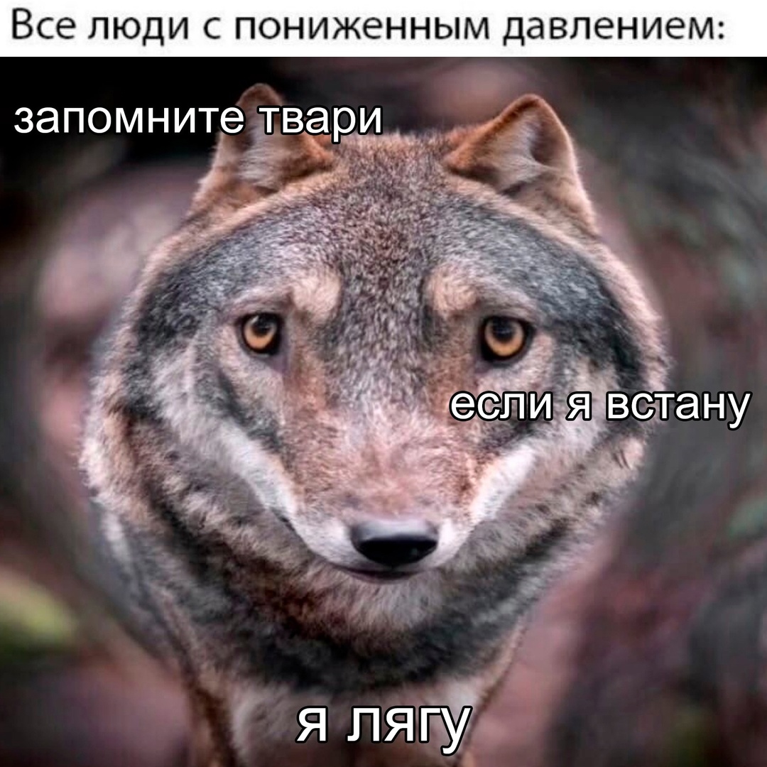 Смешная картинка 1747227780