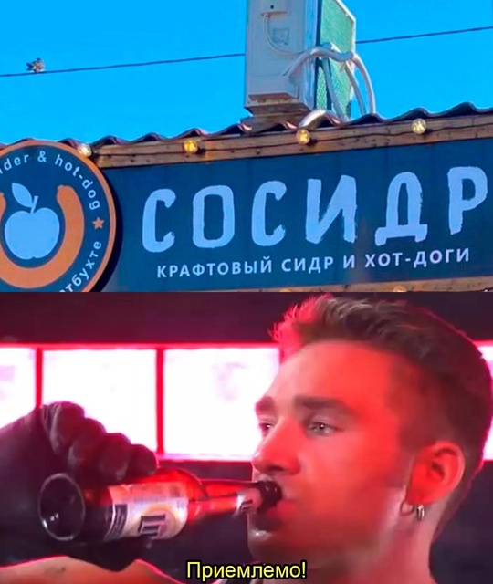 Смешная картинка 1747234980