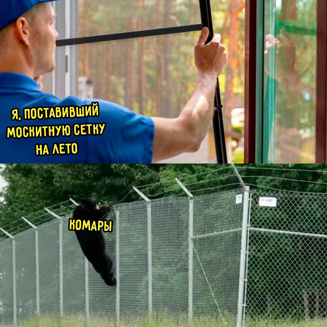 Смешная картинка 1749582180