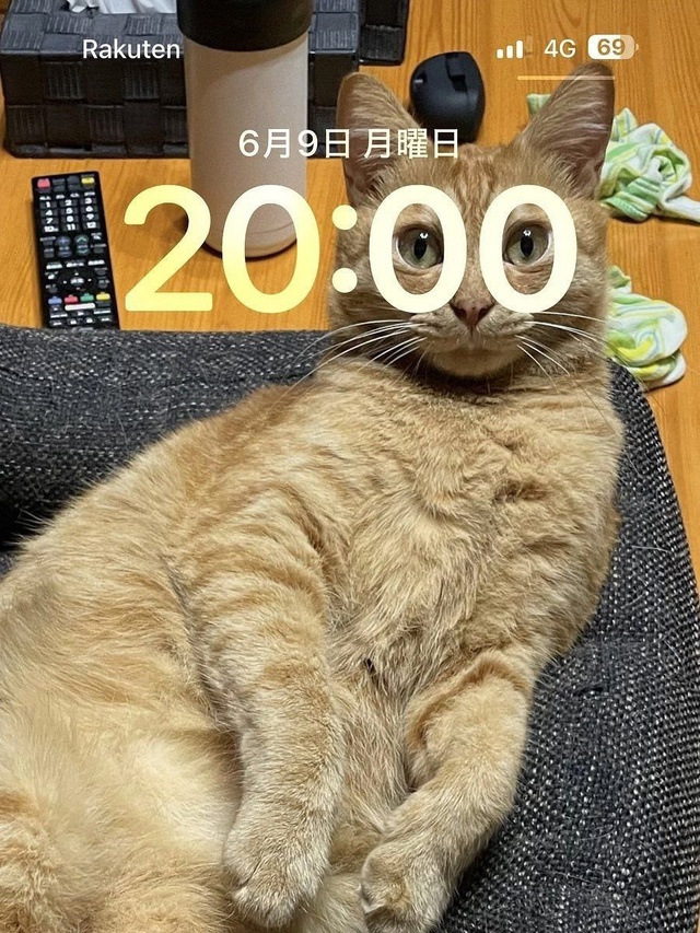 Смешная картинка 1749718802