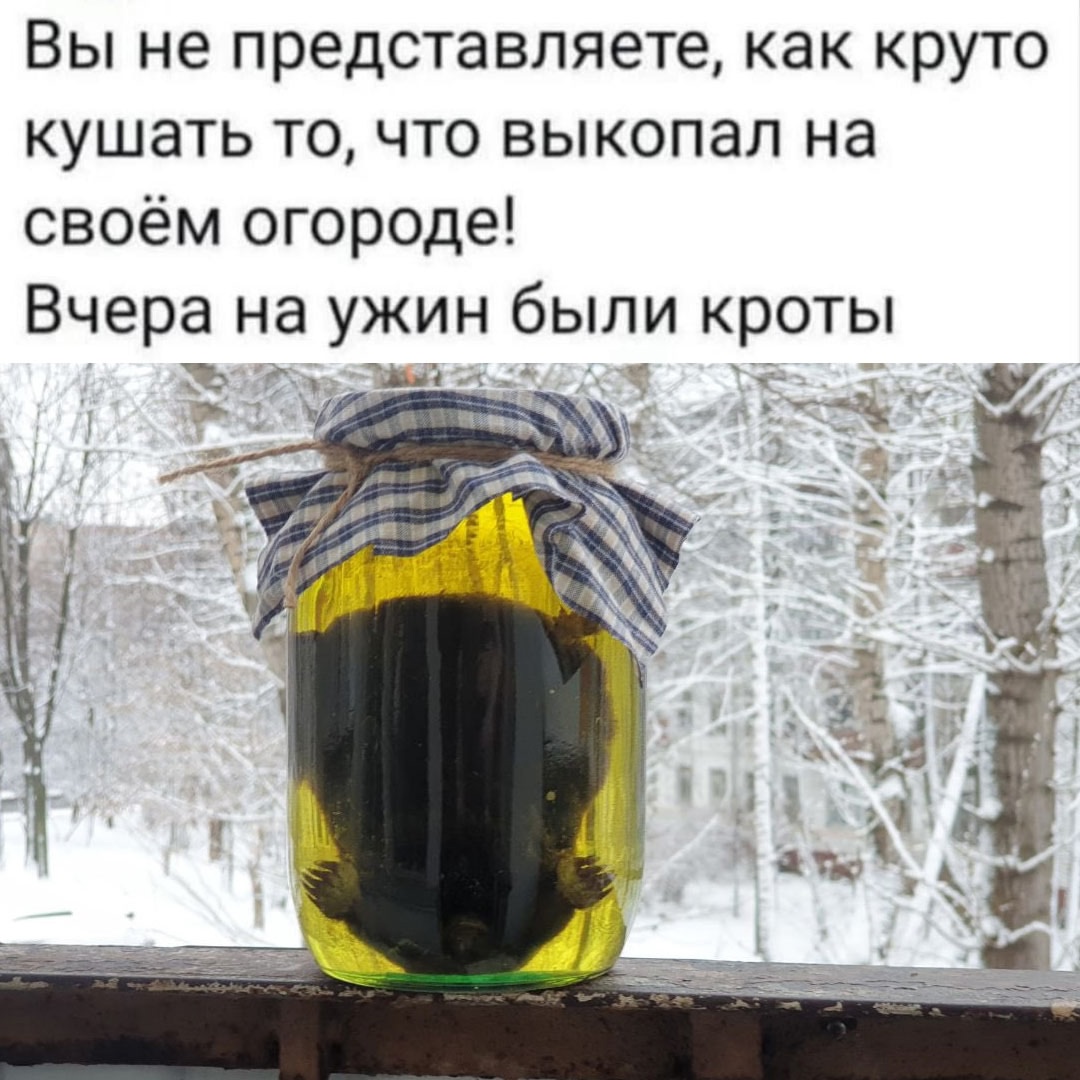 Смешная картинка 1749722580