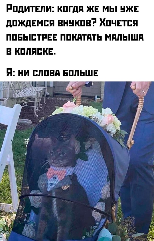 Смешная картинка 1749815532