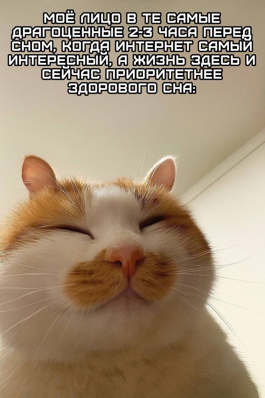 Смешная картинка 1749831180
