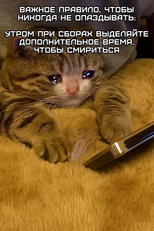 Смешная картинка 1749834780