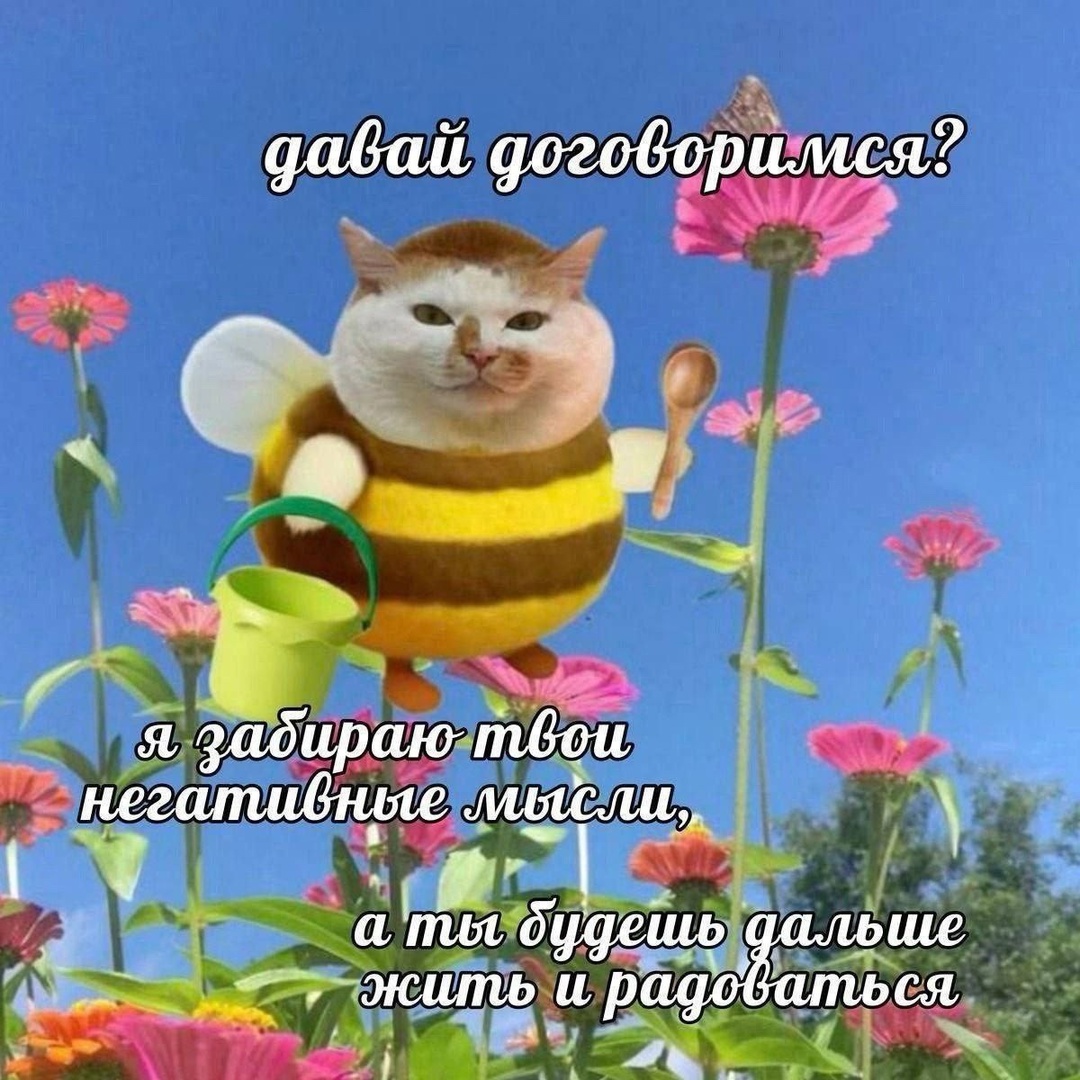 Смешная картинка 1749839077