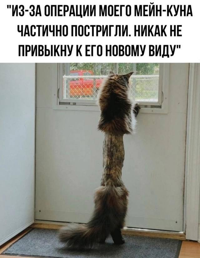 Смешная картинка 1749840000