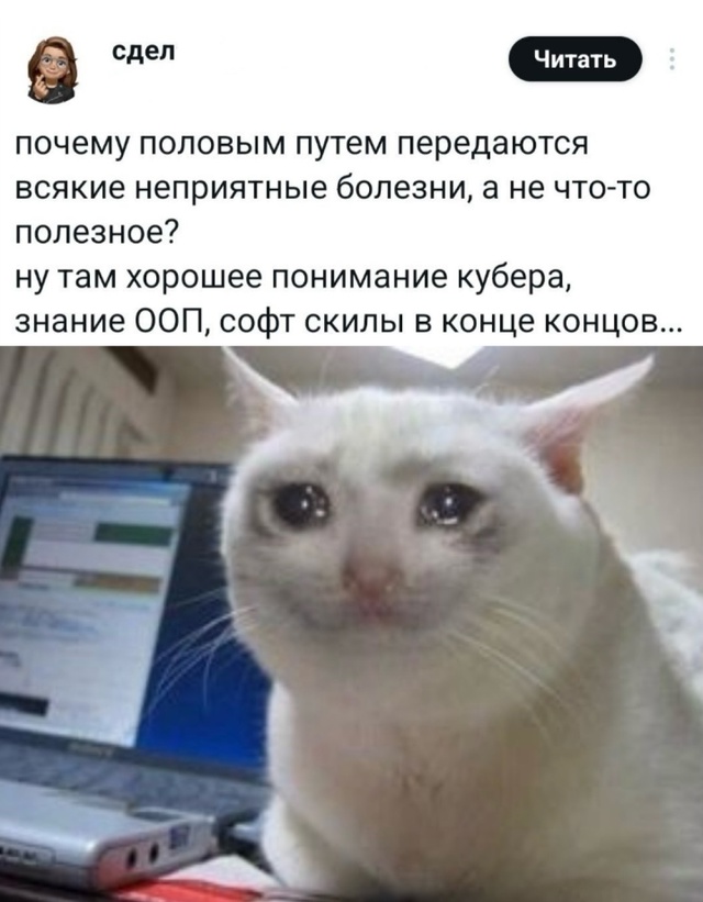 Смешная картинка 1749928338