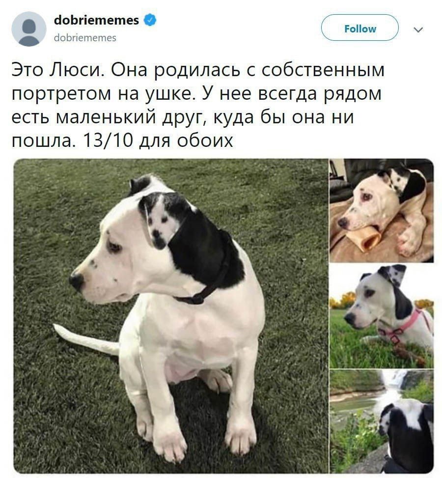 Смешная картинка 1749982200