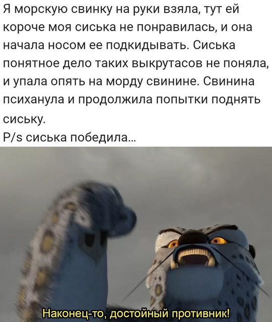 Смешная картинка 1750075380