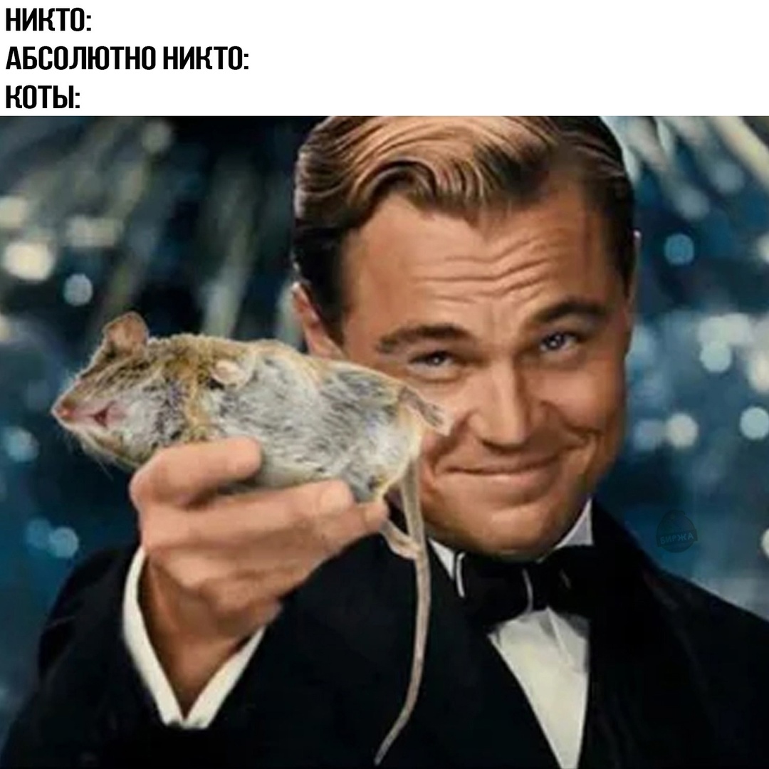 Смешная картинка 1750082580