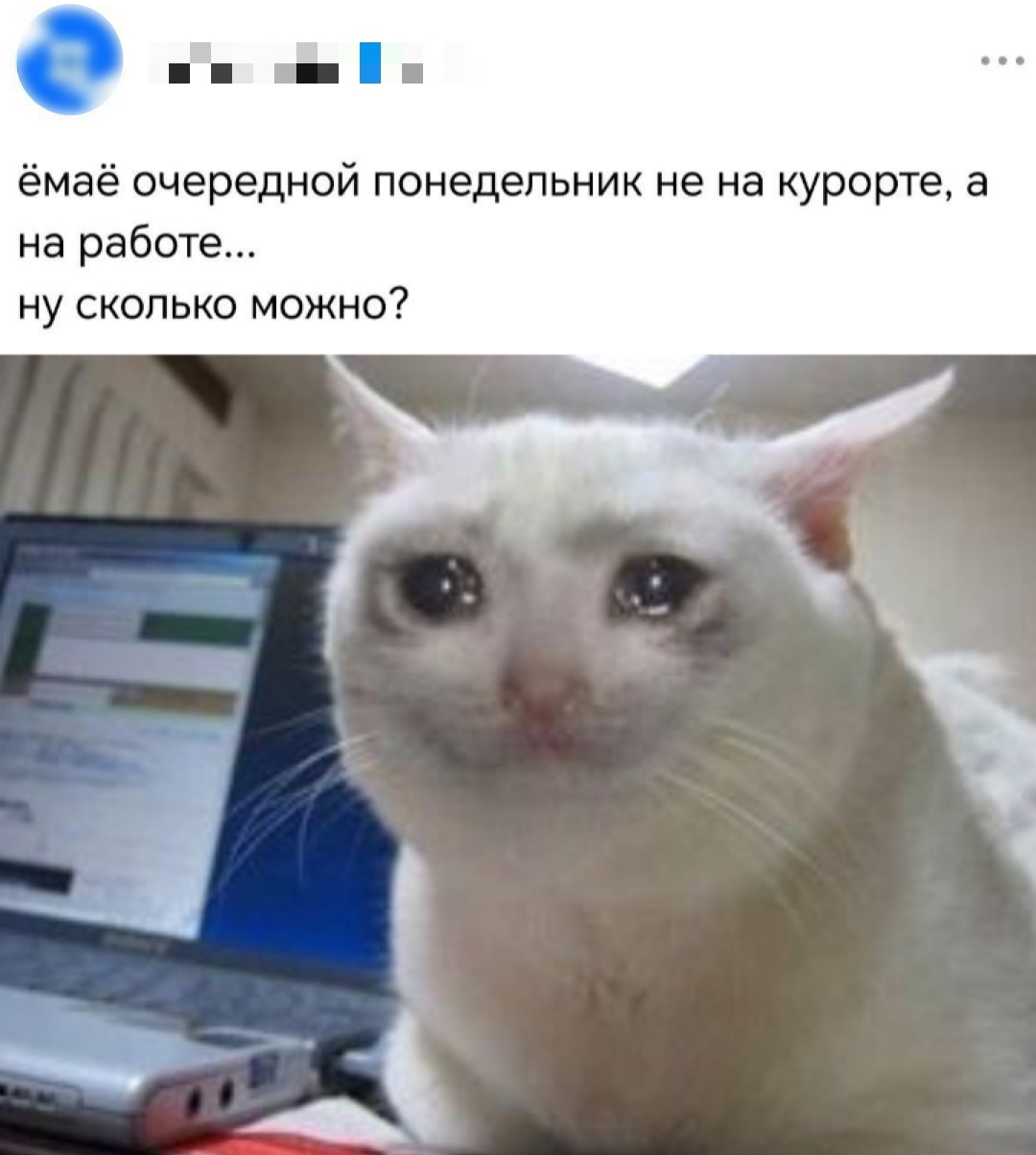 Смешная картинка 1750084401