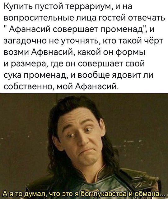 Смешная картинка 1750100580