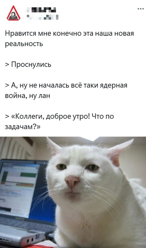 Смешная картинка 1750275998