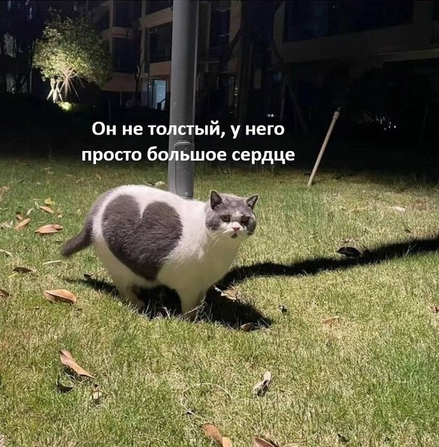 Смешная картинка 1750342414