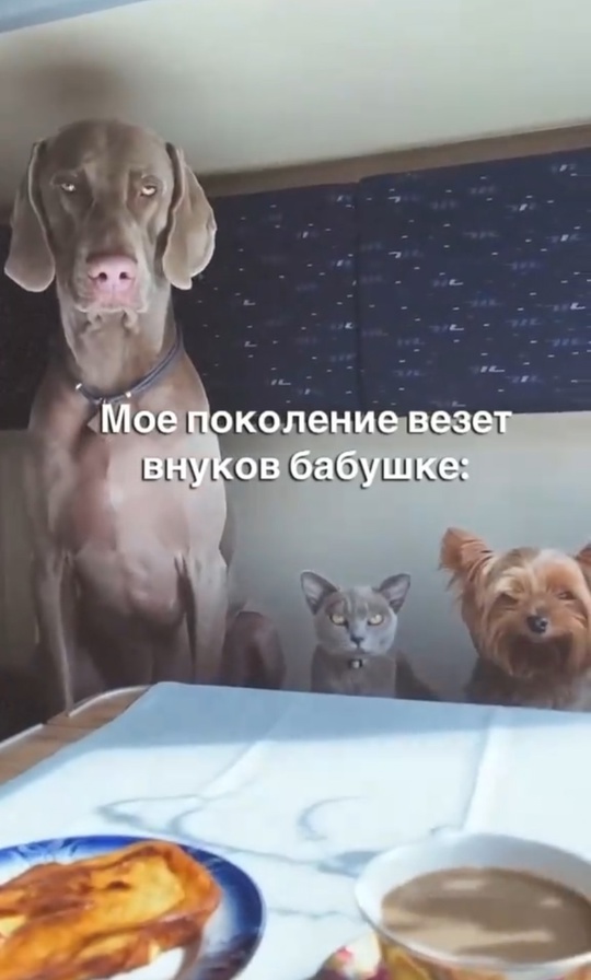 Смешная картинка 1750355769
